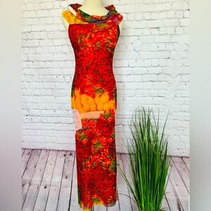 ZARA Dress Sleeveless Maxi Hot Peppers Bodycon Mesh Dress—NWT--S